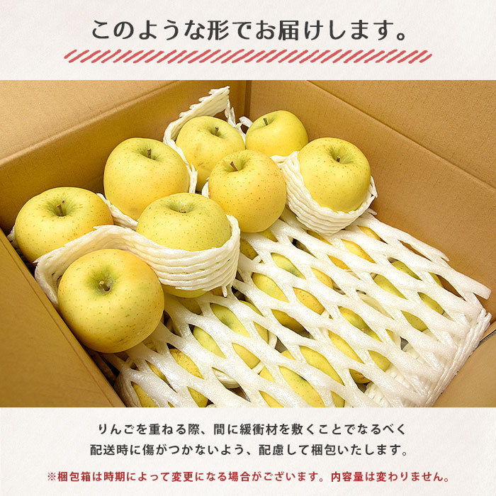 りんご シナノゴールド リンゴ 林檎 5kg 訳あり 訳アリ 産地直送 訳ありりんご 黄色いりんご 5キロ 信州 長野 信州産 長野県 果物 フルーツ 自宅用 家庭用 約 美味しい 冬ギフト ギフト プレゼント お返し 贈り物 プレゼント ringo 送料無料