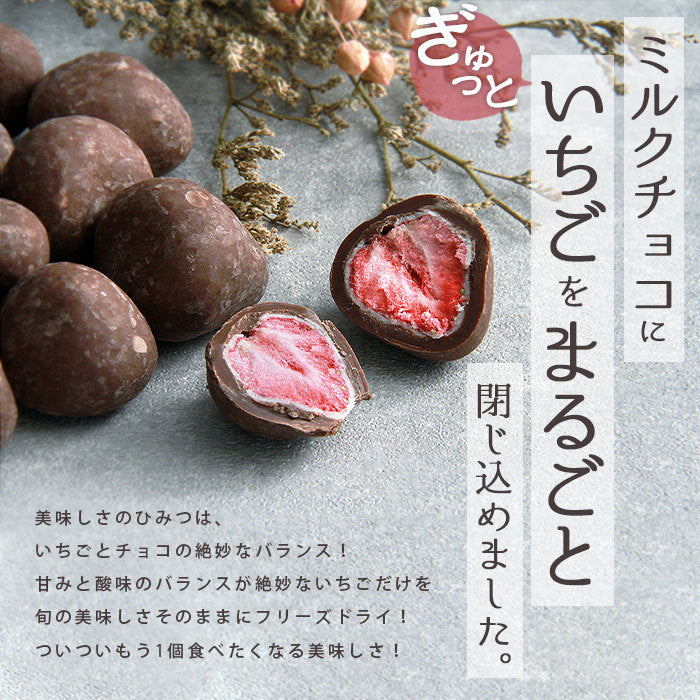 いちごチョコ イチゴチョコ 苺チョコ ちょこ いちご チョコ イチゴチョコレート チョコレート ミルクチョコ ストロベリー フリーズドライ バレンタイン ホワイト