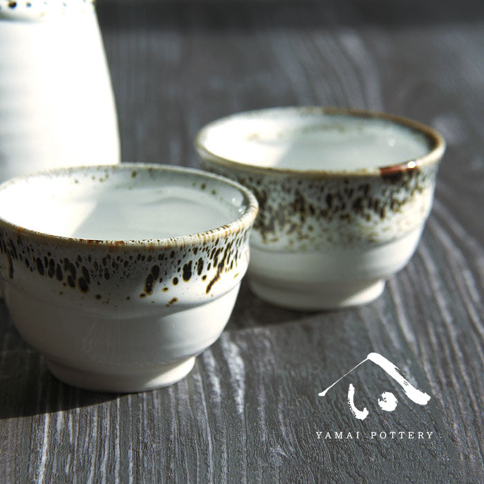 美濃焼 toki minoyaki japan 酒器 セット 酒器セット お猪口 徳利 おちょこ ペア とっくり 天雷改 陶器 手作り 2号 食器 結婚祝い 還暦祝い 祝い 還暦 プレゼント ギフト ギフトセット 食器セット お土産 誕生日 贈り物 お祝い 母の日 父の日 記念日 和食器 洋食器