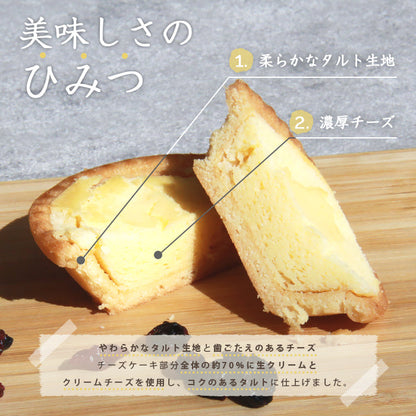 チーズタルト 濃厚チーズタルト チーズ タルト プチタルト チーズケーキ 1kg 訳あり 生菓子 スイーツ デザート お返し プレゼント ギフト スイーツ バレンタイン