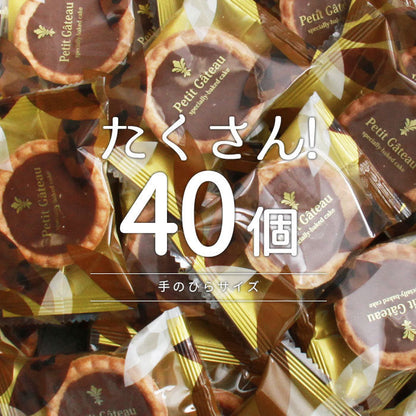 チョコタルト タルト チョコレート チョコ ちょこ ちょこれーと カカオ アーモンド 国産 一口サイズ ミニ プチ 詰め合わせ バレンタイン ホワイトデー 母の日