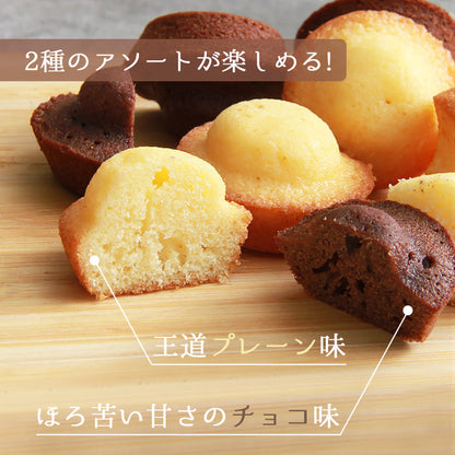 プチケーキ プレーン チョコ プチ ケーキ 国産 一口サイズ プチサイズ 詰め合わせ バレンタイン ホワイトデー スイーツ 洋菓子 小分け 個包装 大容量