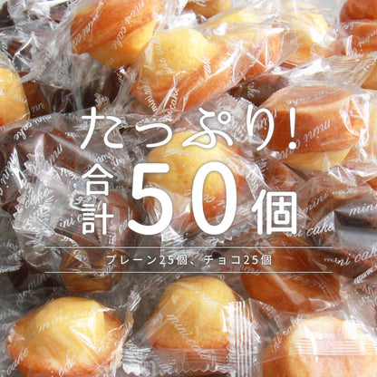 プチケーキ プレーン チョコ プチ ケーキ 国産 一口サイズ プチサイズ 詰め合わせ バレンタイン ホワイトデー スイーツ 洋菓子 小分け 個包装 大容量