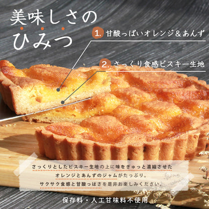 タルトケーキ ホールケーキ ケーキ オレンジ タルト あんず あんずタルト 杏 フルーツタルト オレンジとあんずのタルトケーキ フルーツ 生菓子 スイーツ