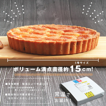 タルトケーキ ホールケーキ ケーキ オレンジ タルト あんず あんずタルト 杏 フルーツタルト オレンジとあんずのタルトケーキ フルーツ 生菓子 スイーツ