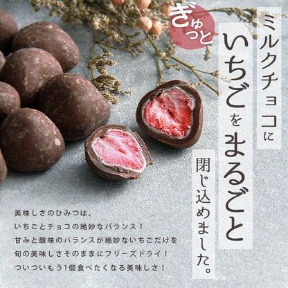 いちごチョコ イチゴチョコ 苺チョコ ちょこ いちご チョコ イチゴチョコレート チョコレート ミルクチョコ ストロベリー フリーズドライ バレンタイン ホワイト