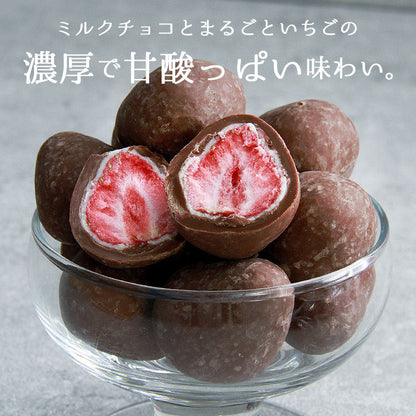 いちごチョコ イチゴチョコ 苺チョコ ちょこ いちご チョコ イチゴチョコレート チョコレート ミルクチョコ ストロベリー フリーズドライ バレンタイン ホワイト
