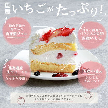 ショートケーキ ケーキ いちご イチゴ 苺 フルーツ お菓子 ギフト 5号 15cm 冷凍 冷凍ケーキ 洋菓子 スイーツ デザート 大きい 大きめ ボリューミー
