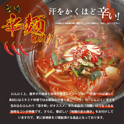 ラーメン 辛麺 辛いラーメン 宮崎辛麺 宮崎 宮崎ラーメン 辛い 激辛 辛い物好き 辛 辛ラーメン ラーメンスープ らーめん 冷麺 袋 スープの素 ラーメンスープ ご当地ラーメン ご当地 ご当地グルメ ご当地ラーメン味くらべ ギフト 具材付き セット 2人前 2人前セット 2食